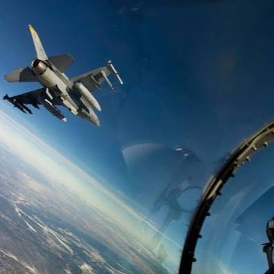 DogFight! artwork