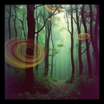 Image for Deepsteps