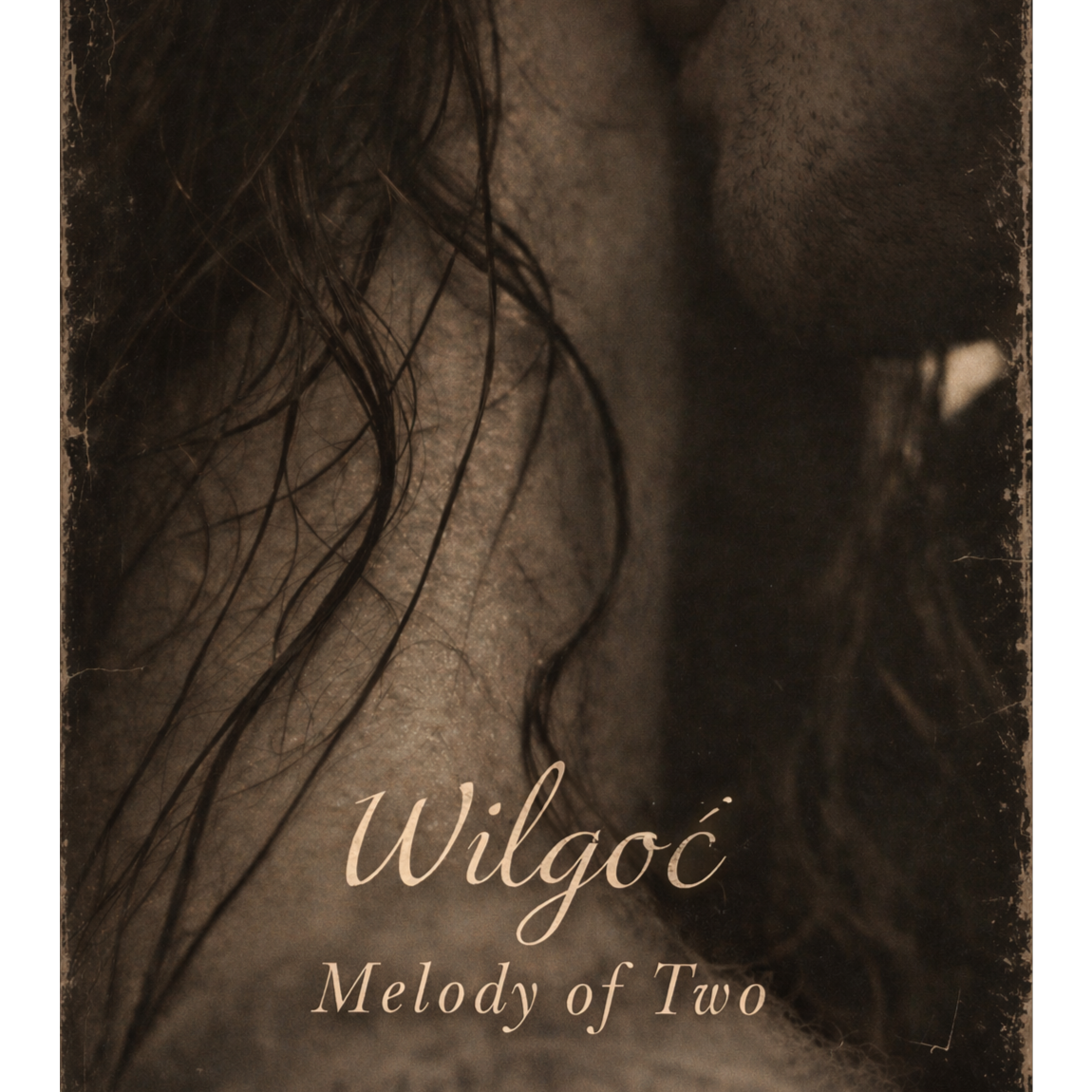 Wilgoć artwork