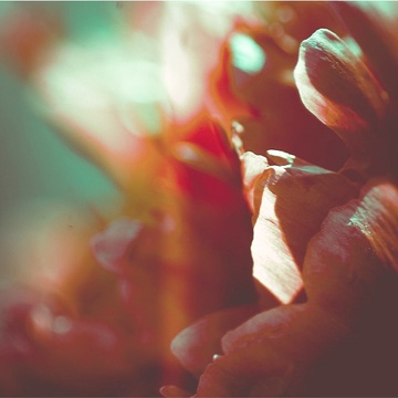 Image for beautiful ballads