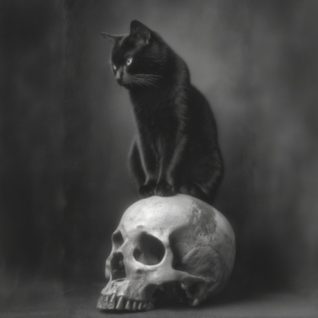 Playlist cover art