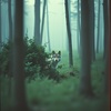 Cover image for Фолк колыбельная (Cover)