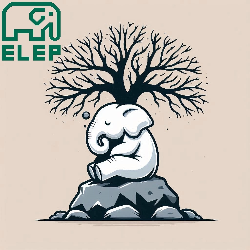 Image for ELEP Album 06