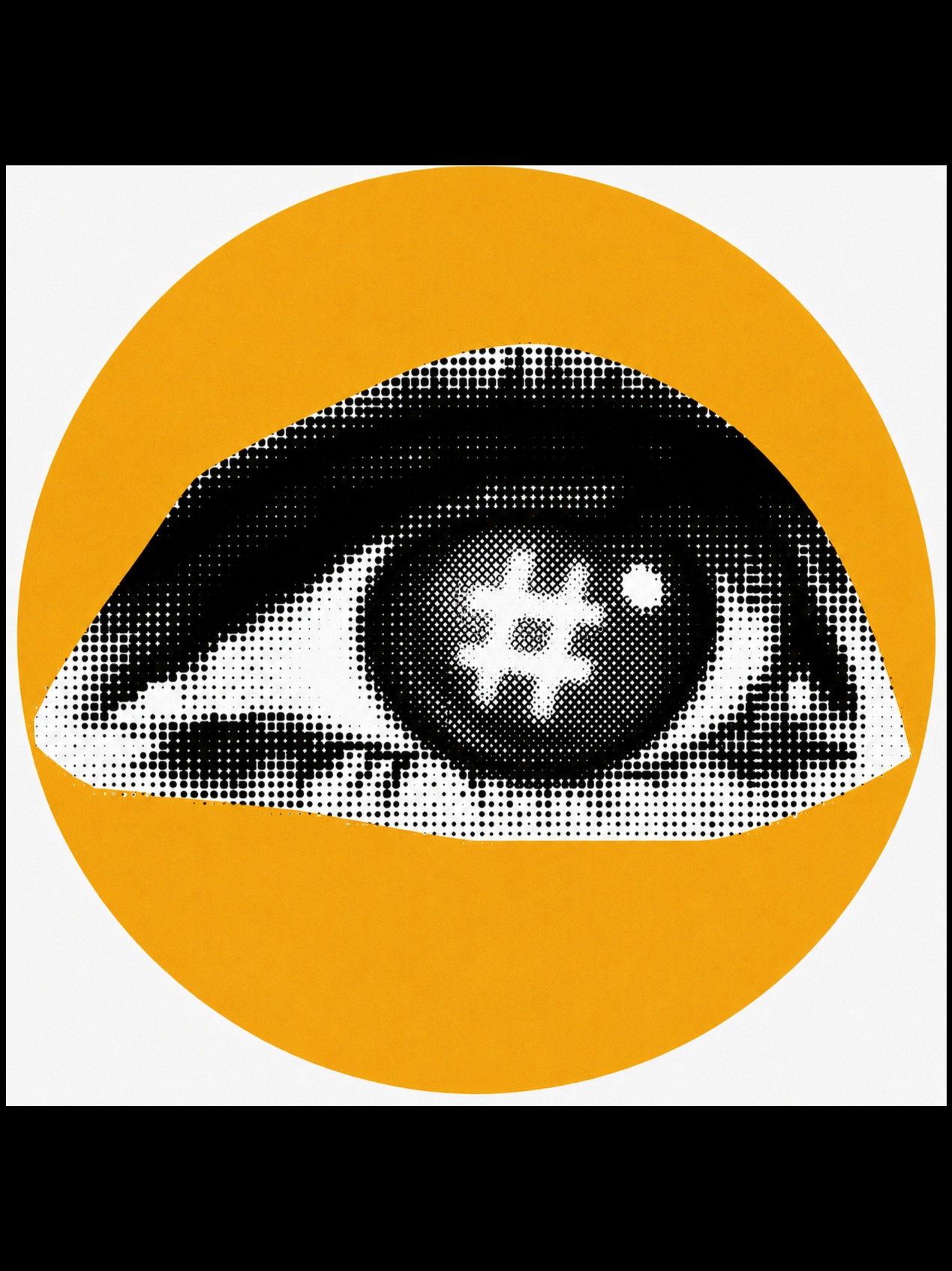 She's Filtered, He's a Fake! (Remix) artwork