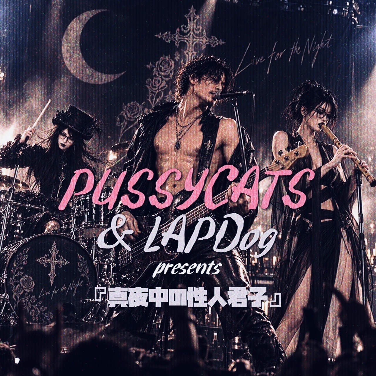 真夜中の性人君子 (PUSSYCATS & LAPDOG) artwork