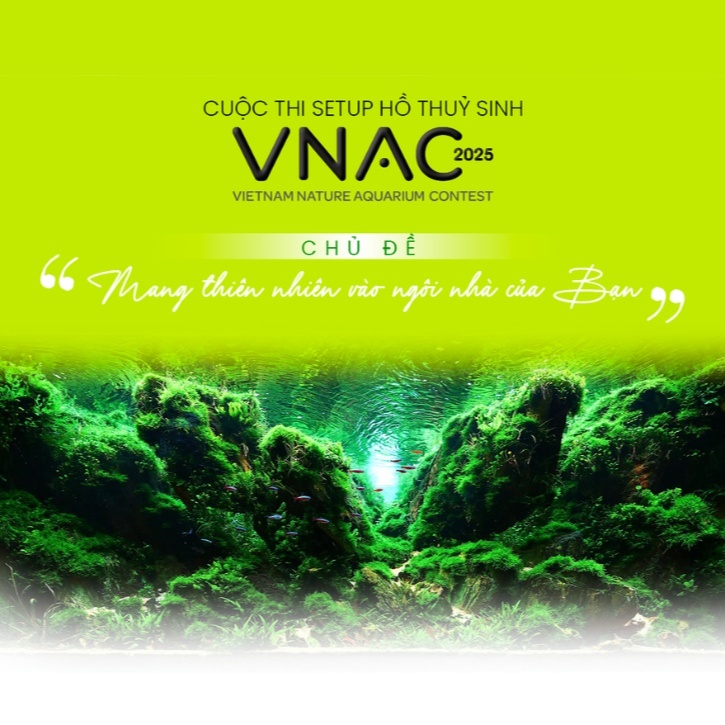 Playlist cover art