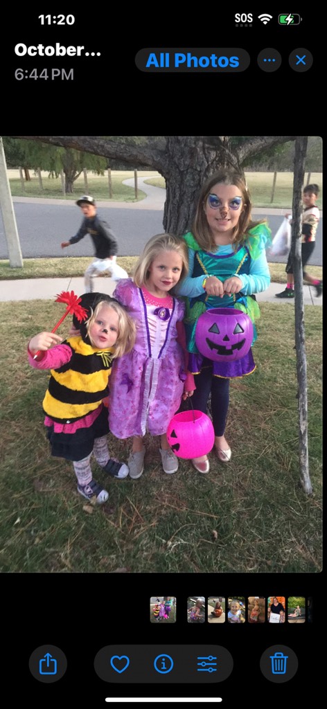 Image for Buzzing Bs In My Heart 