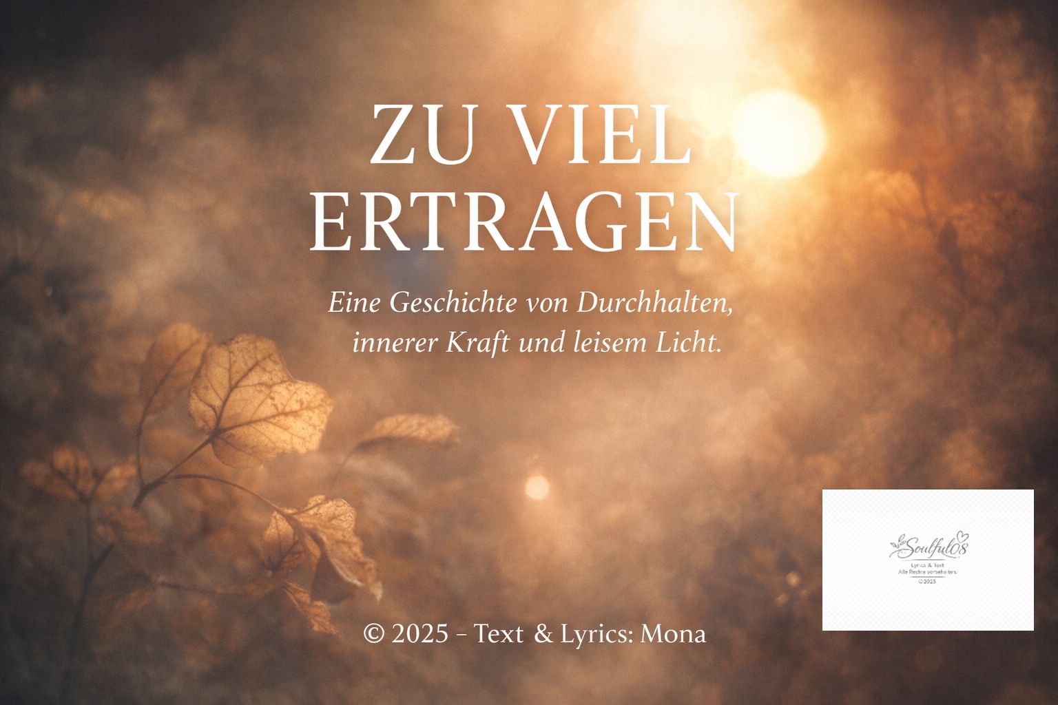 Image for Meine Songs