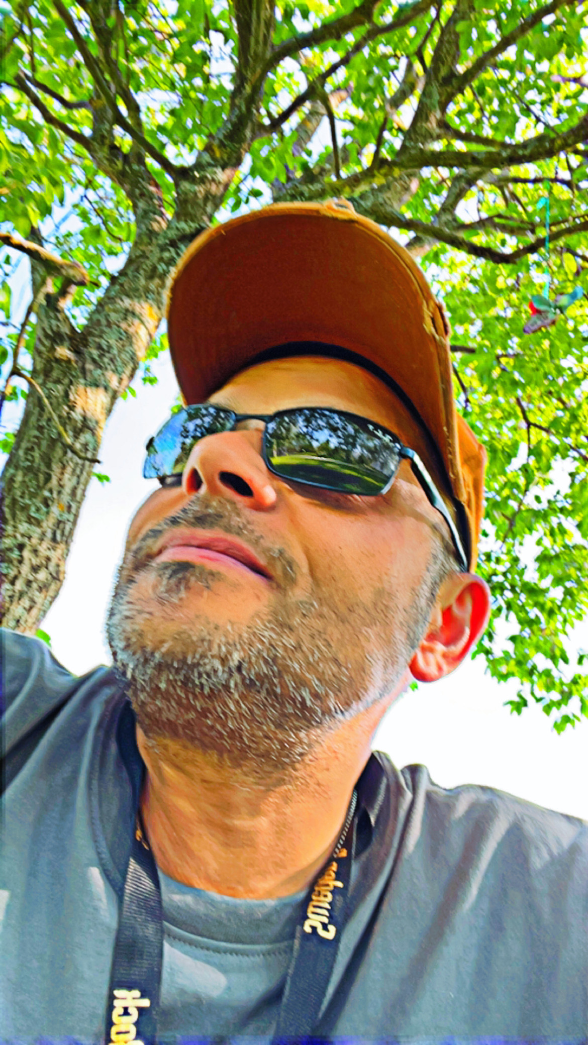 Image for "My Most Sincer Collection"