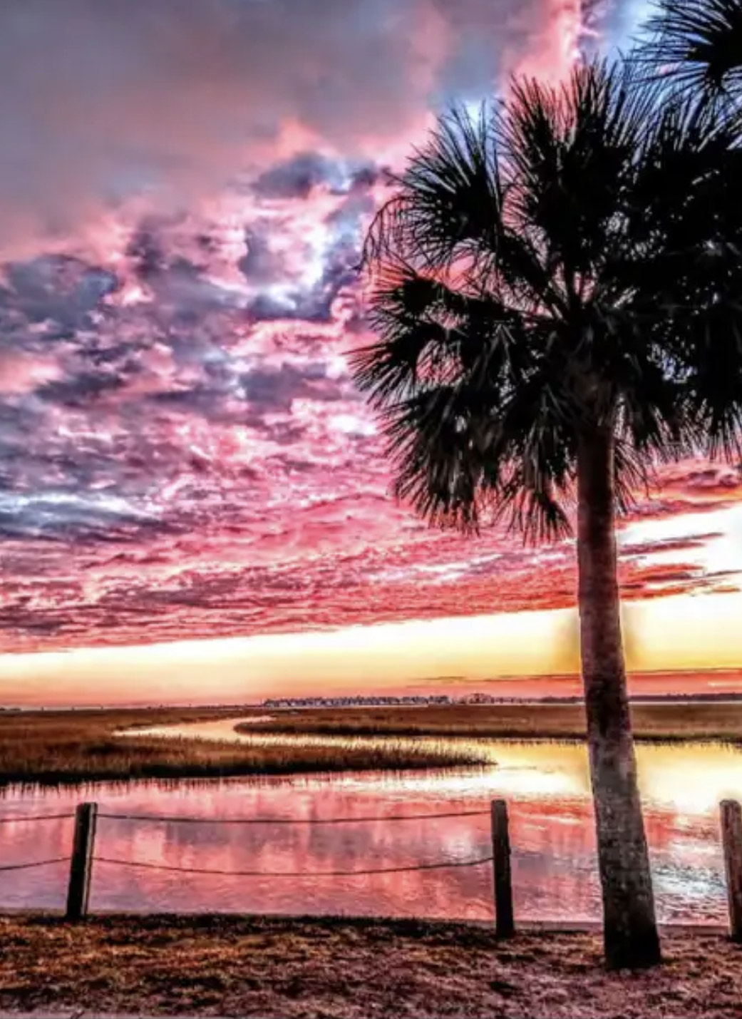 Image for Love Songs of Life