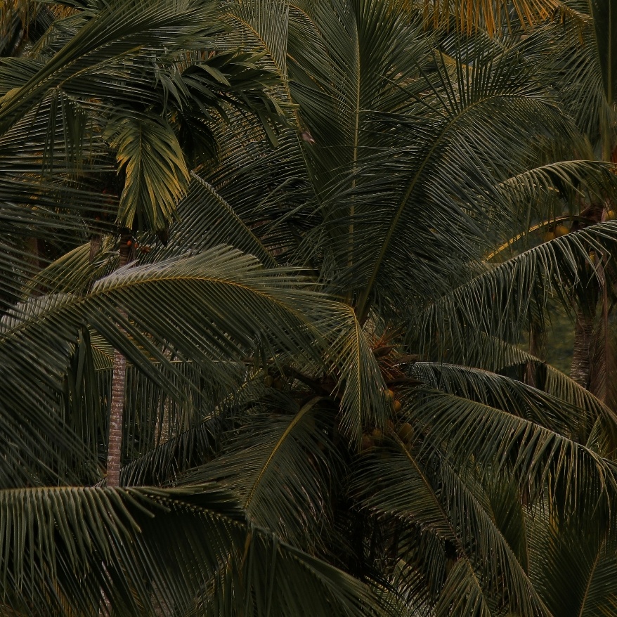 The Karun | 01 artwork