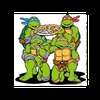 Hero Turtles 90's  