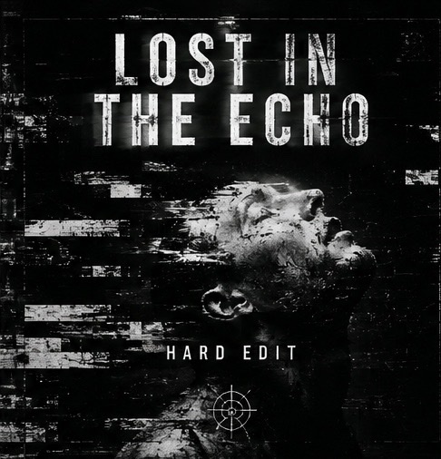 Lost in the Echo (Hard Edit) artwork