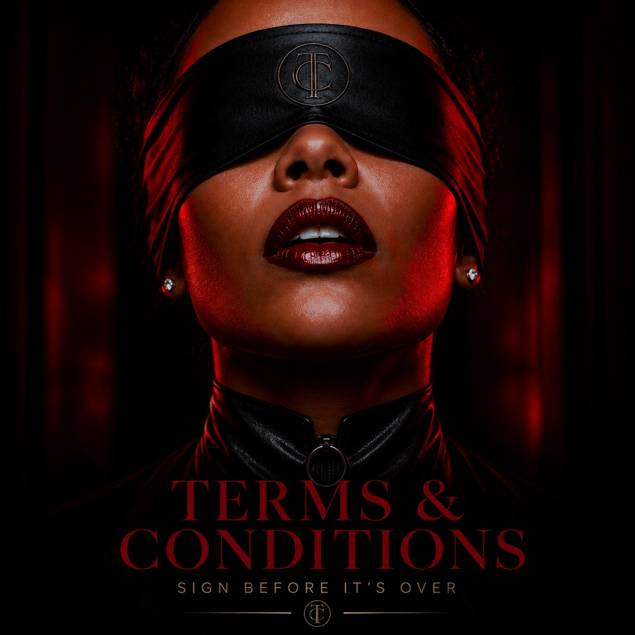 Terms and Conditions artwork