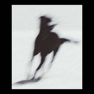 Image for Caballos 