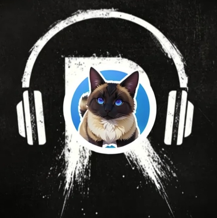 Image for a.k.a. radiohouse 🎙 på svenska