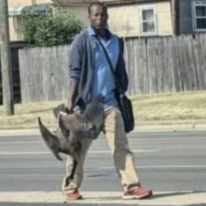 Image for Air Mail Savages Alternate Takes