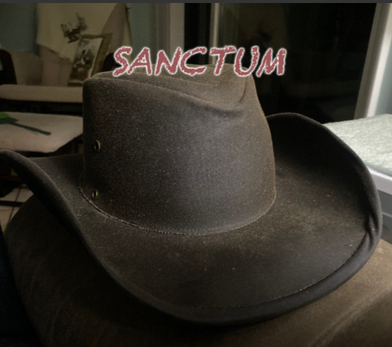 Sanctum artwork