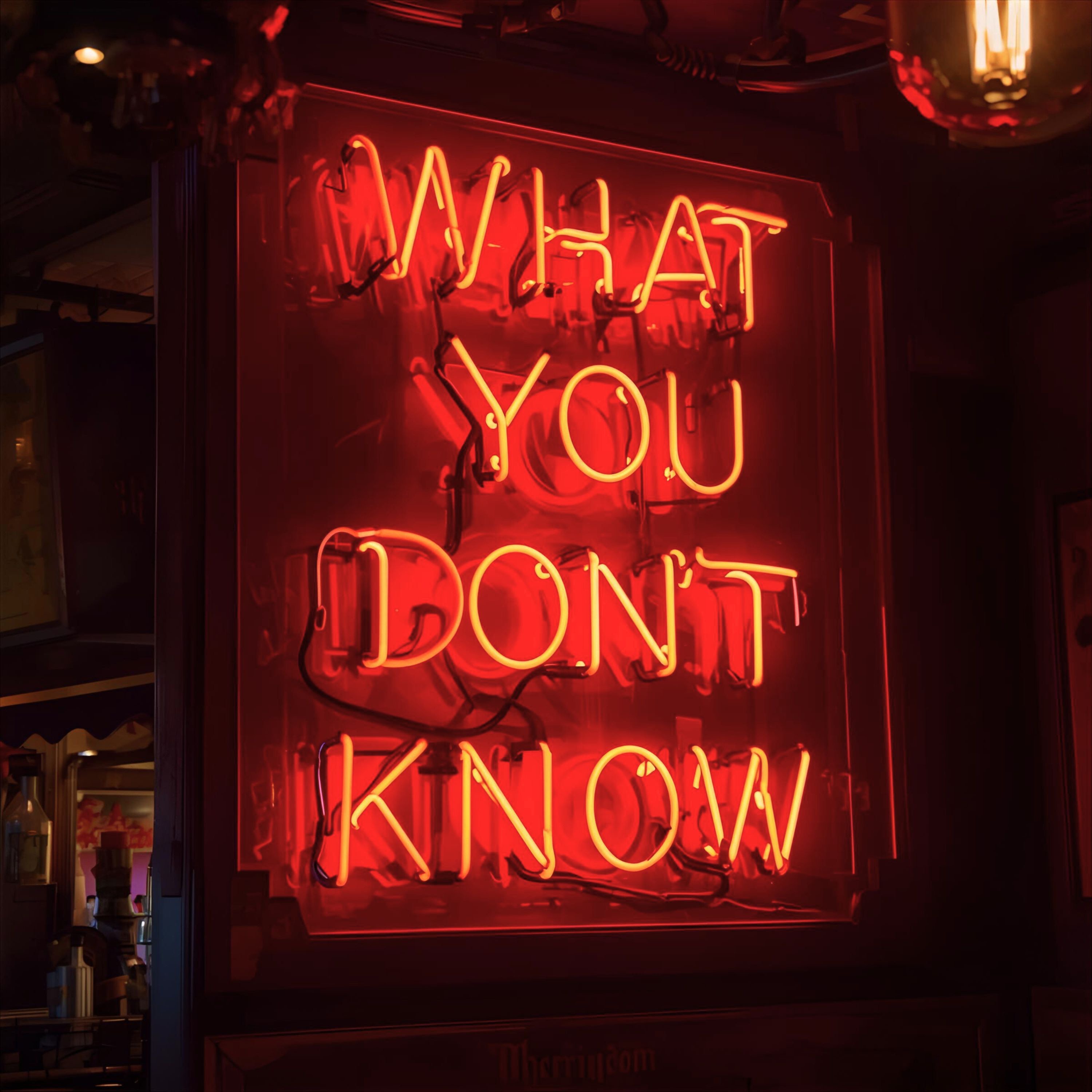 Image for WHAT YOU DON’T KNOW