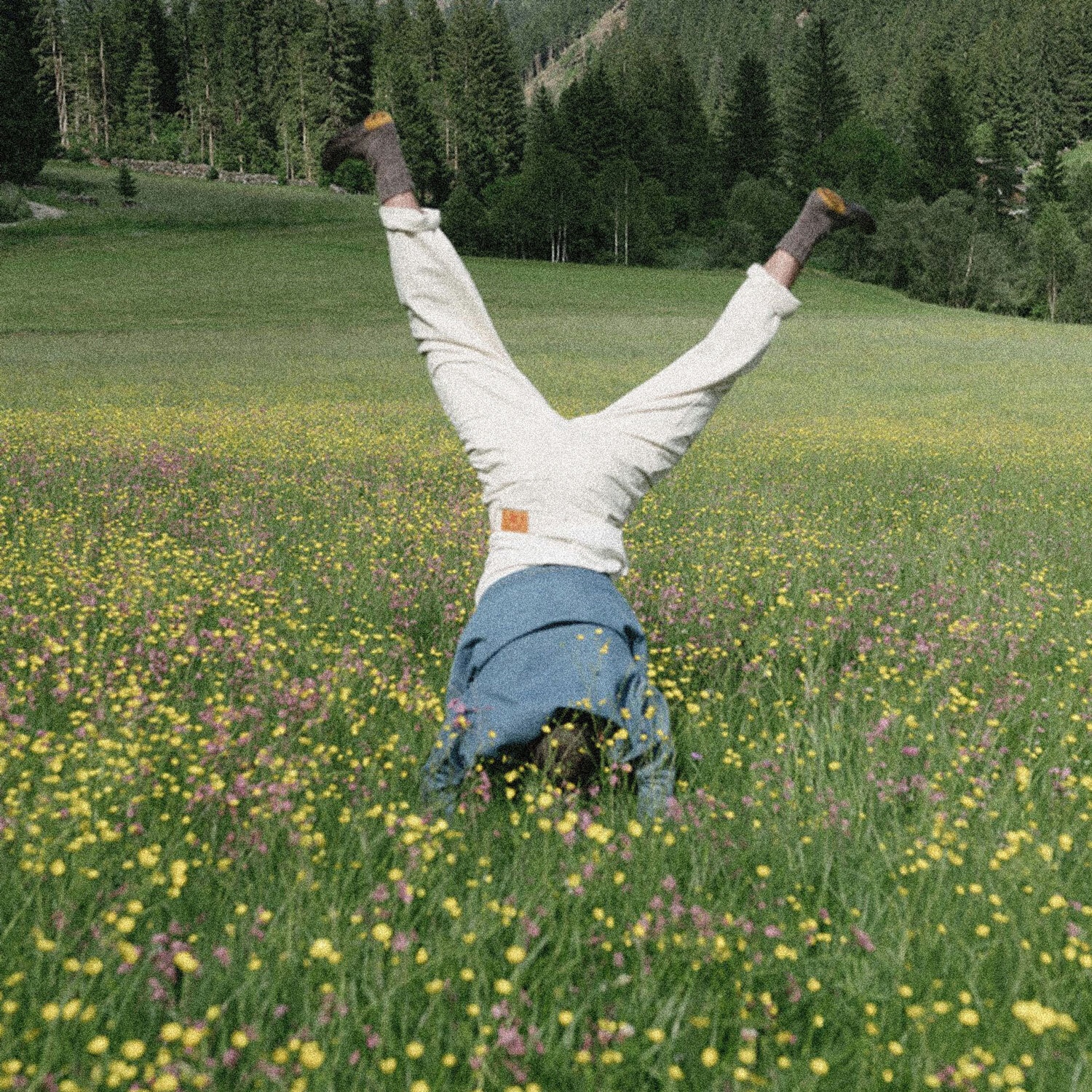 Image for summerdrive