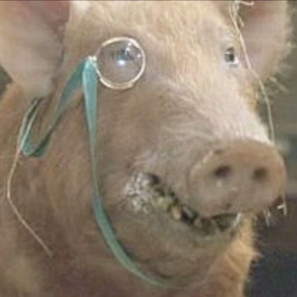 Image for Grotesqueillers