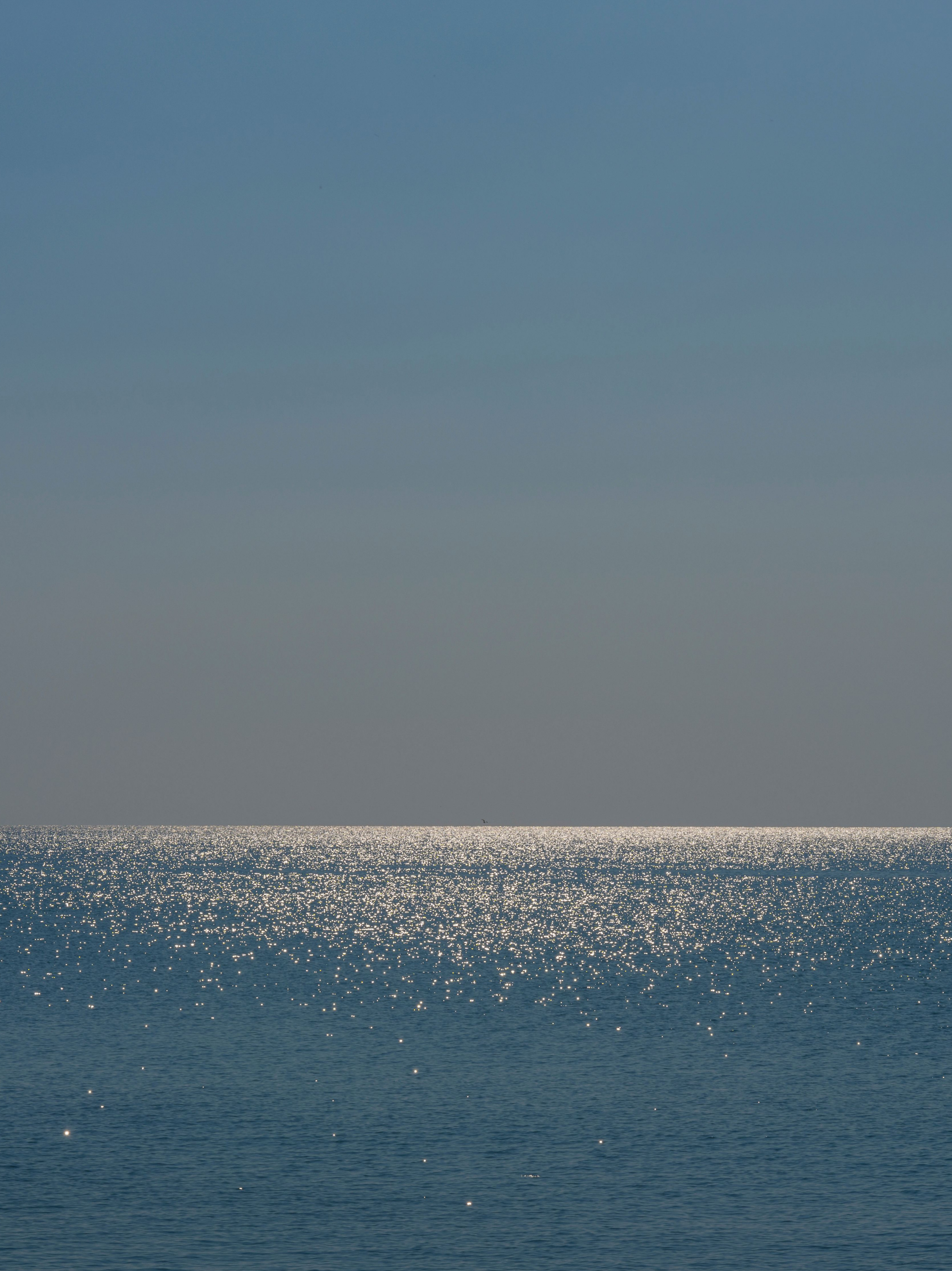 Sacred Chants: Sutras & Norito
