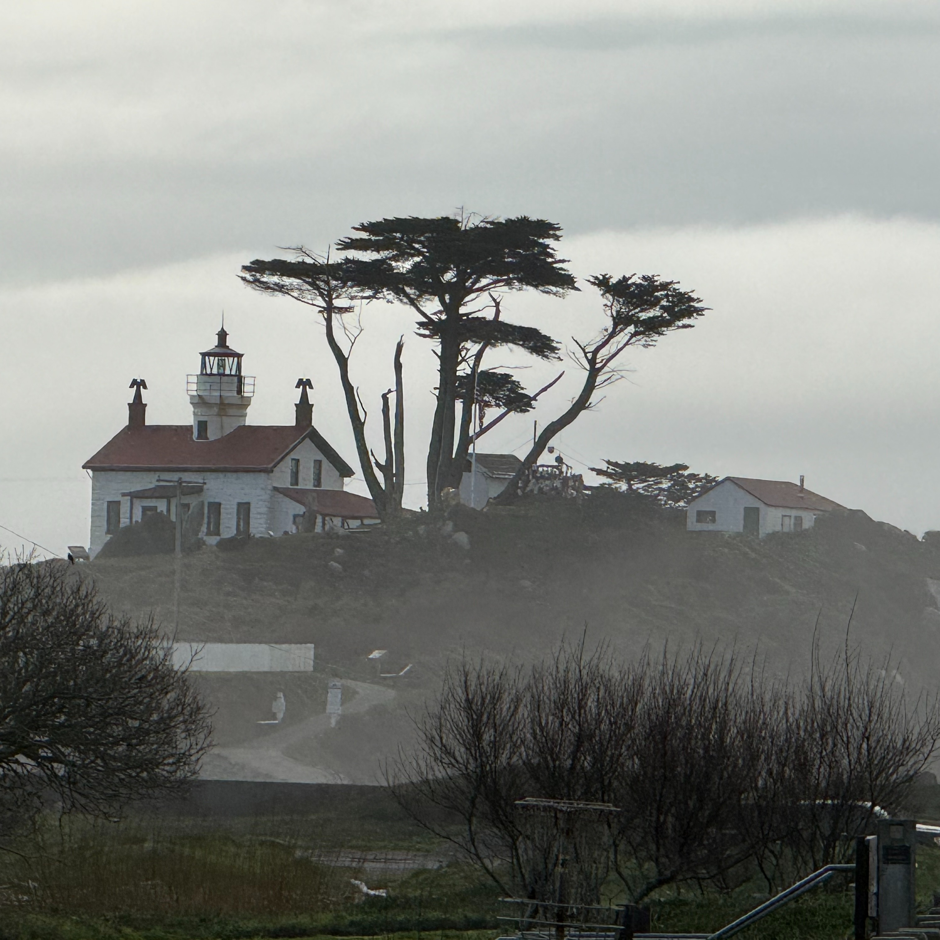 Image for My Country Music Lately