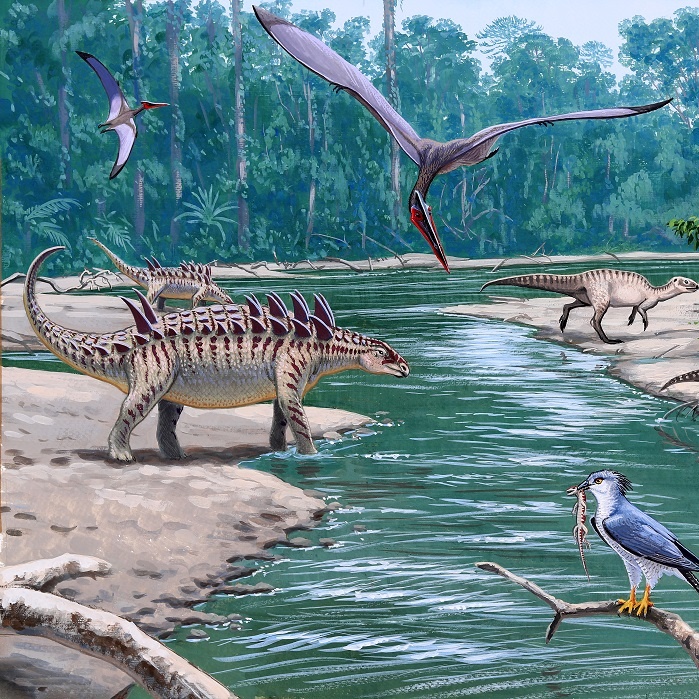 Persona image for Csehbanya