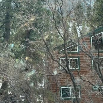 Image for Blue Grass