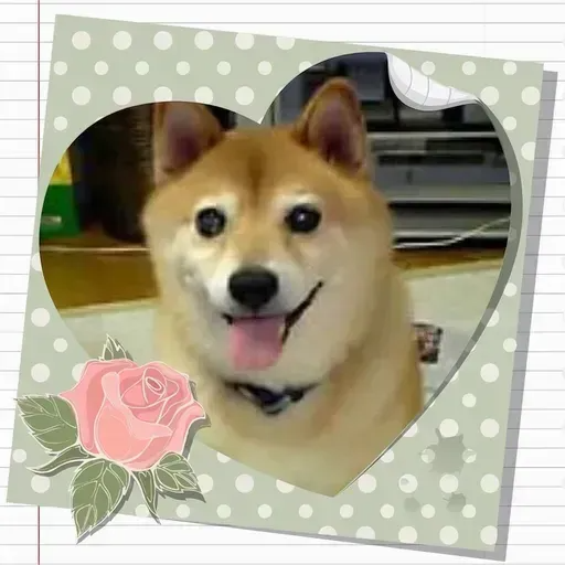 Profile picture for たぬきセンパイ -TanukiSenpai-