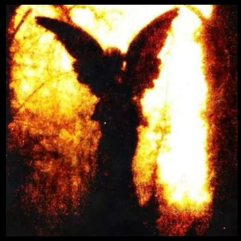 Image for Pareidolia - Icarus