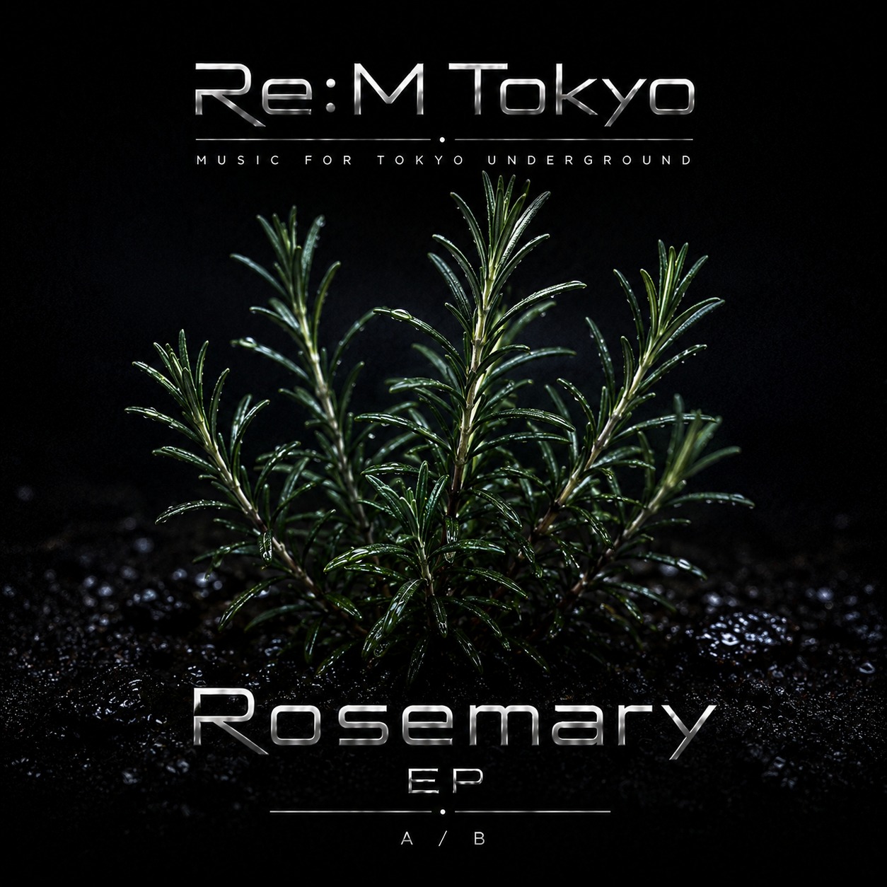 Rosemary EP - Side B artwork