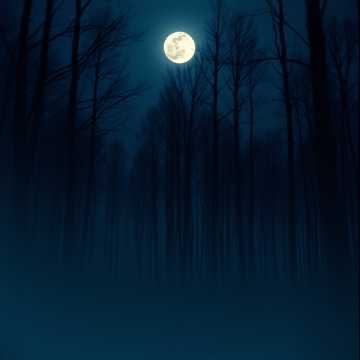 Image for 無伴奏チェロ組曲〜Eili版