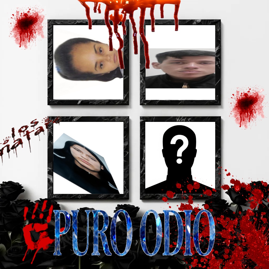 Image for PURO ODIO