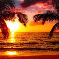Instrumental Beach Songs