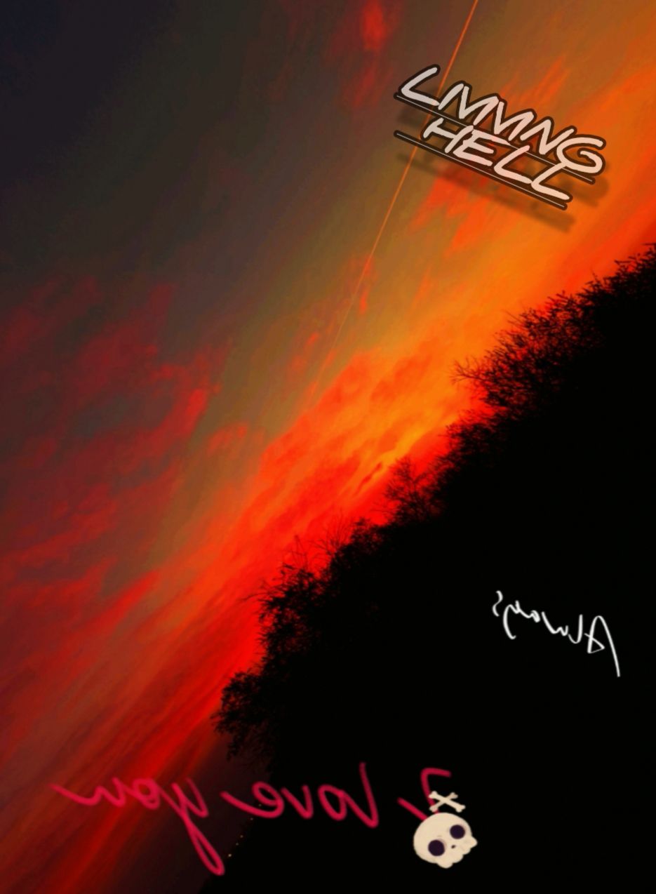 Image for THE LIFE IN THE LIVINGHELL