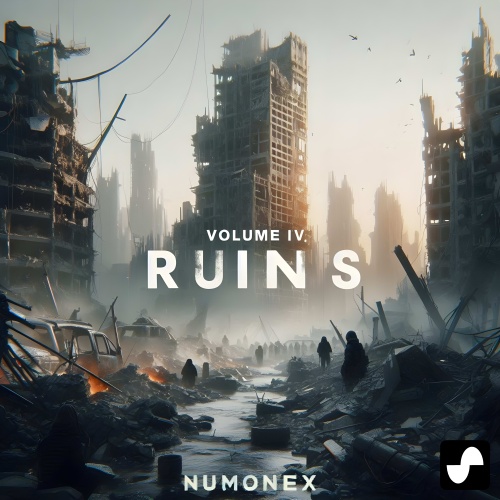 Image for Volume IV RUINS