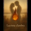 Lacrima d’Ambra - G.Orgia