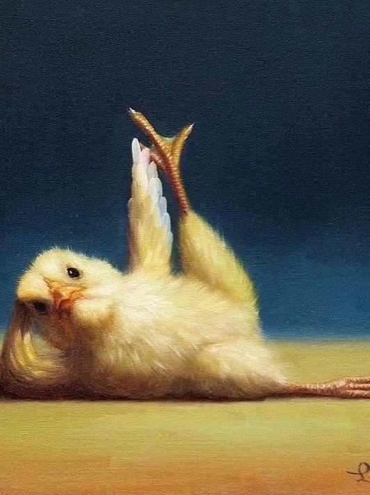 🐣おさんぽのれんしゅう MORNING EXERCISES  (RAGTIME Mashup)))) artwork