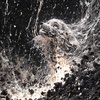 1945/08/09 11:02 Nagasaki ("Bottom of the River" Remix)
