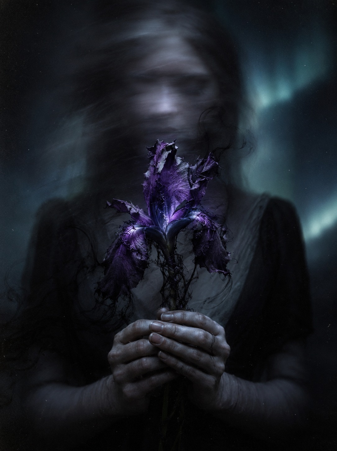 Iris artwork