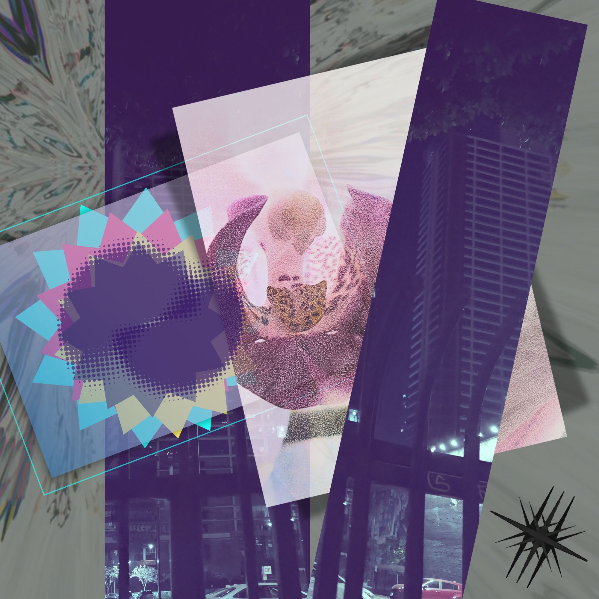 Lose artwork