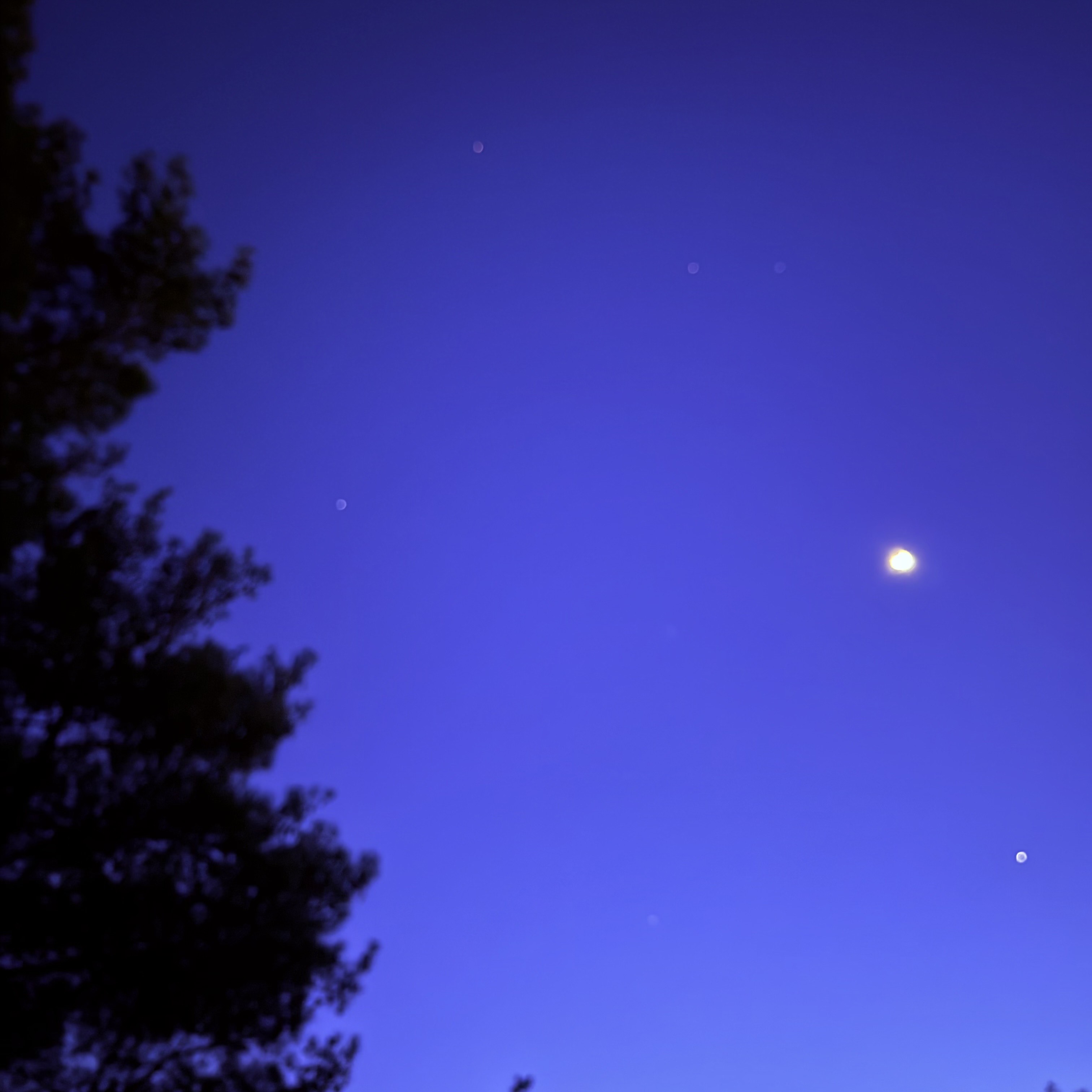 Image for ✨[👻]✨