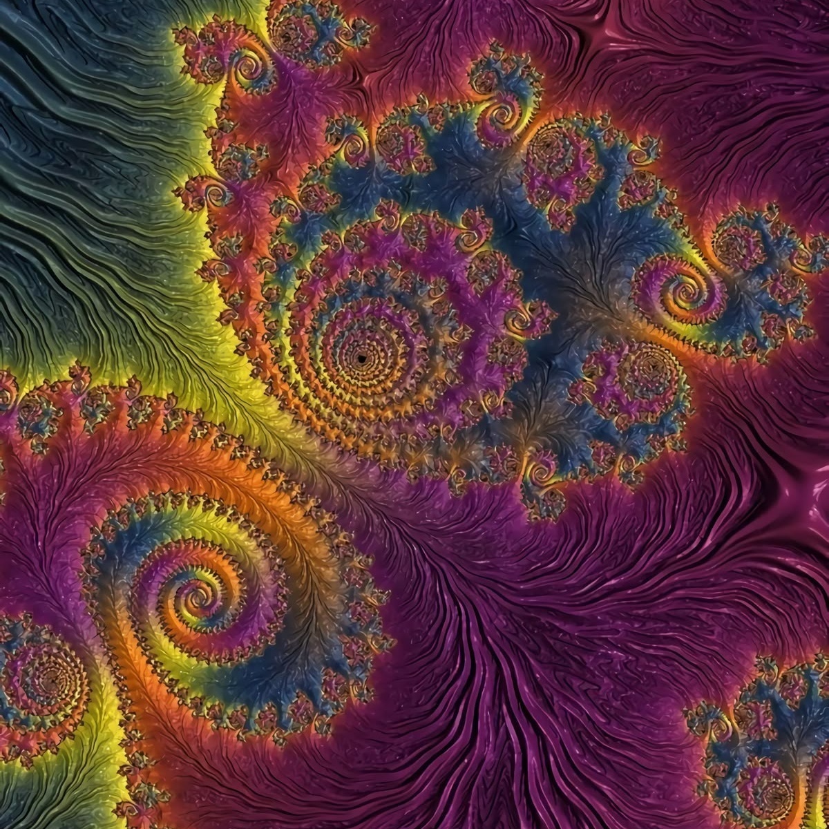 Image for Dreaming Flamenco inspired