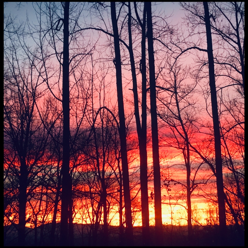 Sunrise Glow