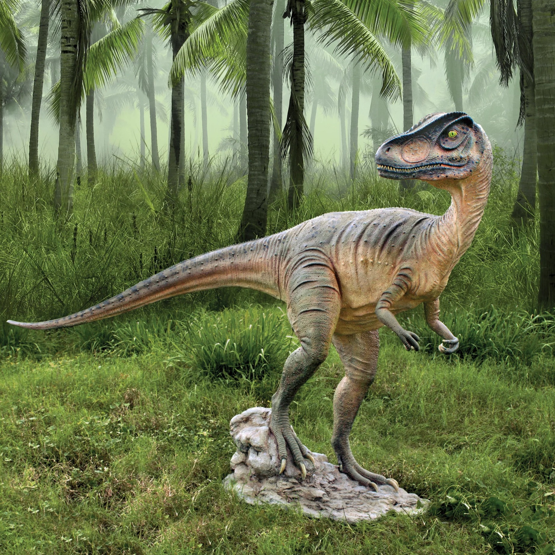 Did Dinosaurs Dance artwork