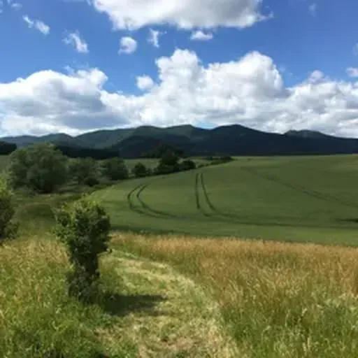 Profile picture for Slavomir