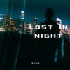 "Lost in Night"