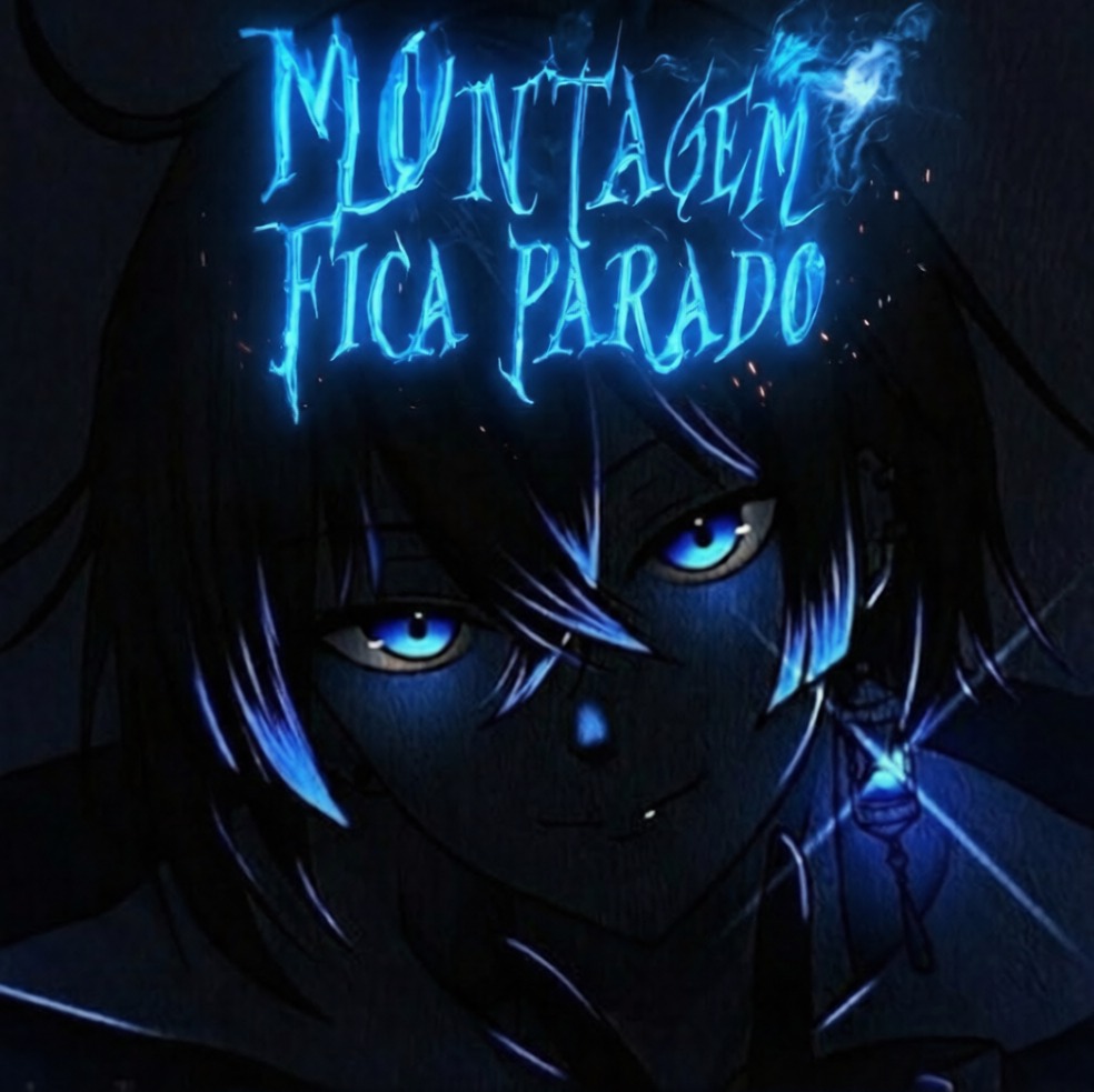 MONTAGEM FICA PARADO artwork