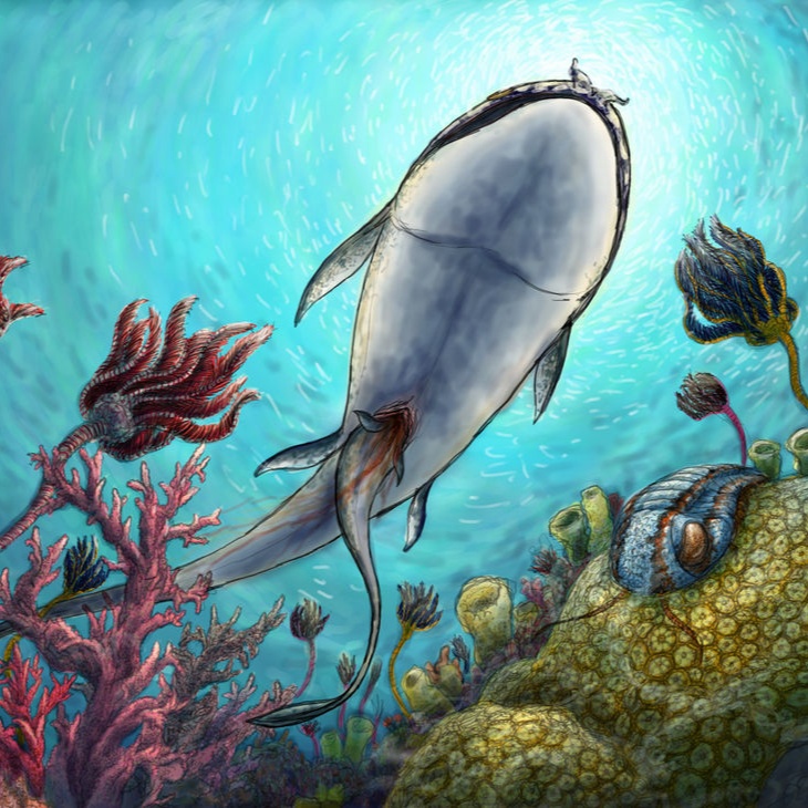 Persona image for Gogo